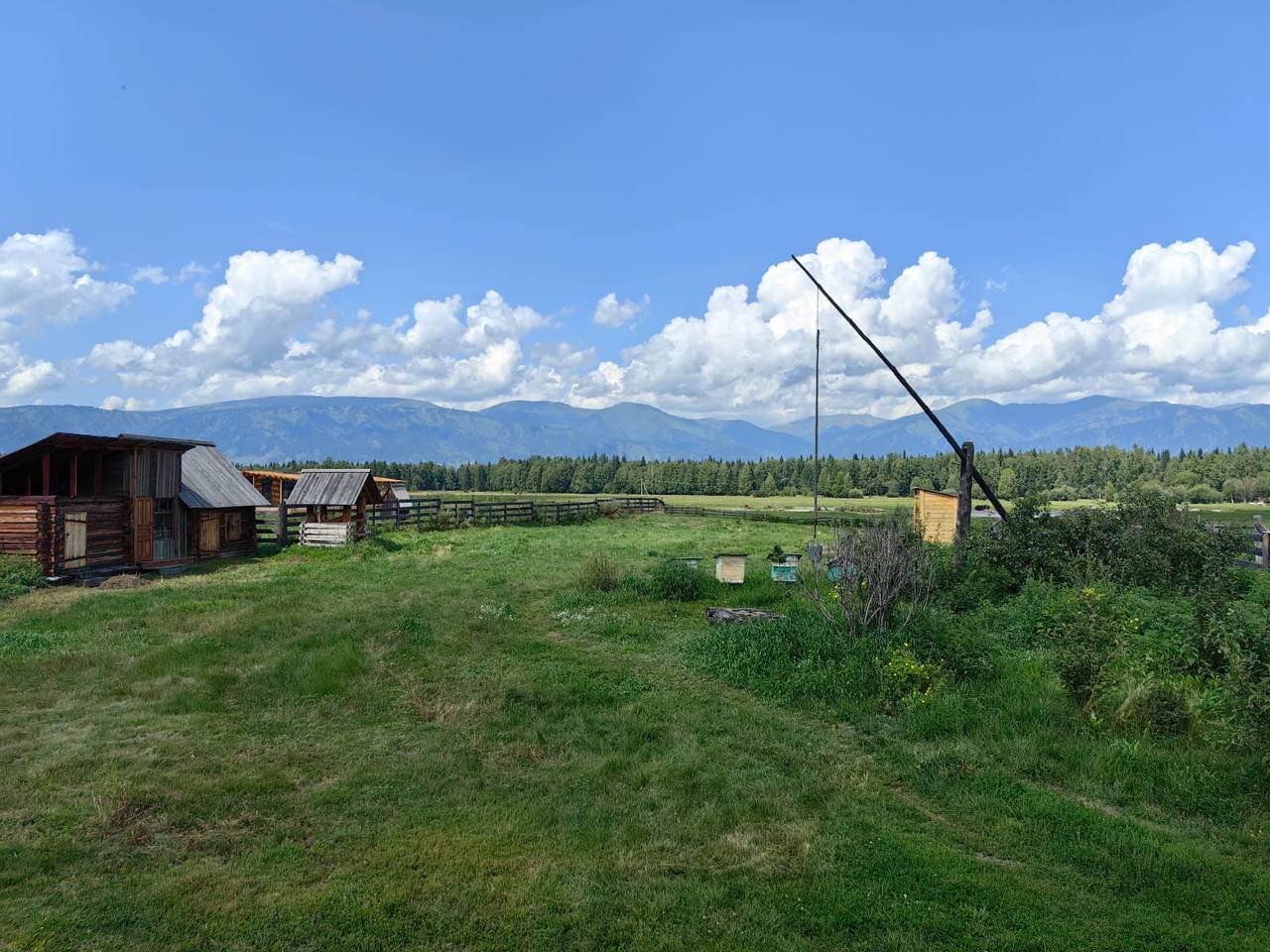 Алтайские ИТ-тимуровцы познакомились с проектом «Изучи интернет» Алтайские ИТ-тимуровцы познакомились с проектом «Изучи интернет»