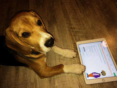 «ИЗУЧИ ИНТЕРНЕТ – УПРАВЛЯЙ ИМ!». Две недели до начала «ИЗУЧИ ИНТЕРНЕТ – УПРАВЛЯЙ ИМ!». Две недели до начала