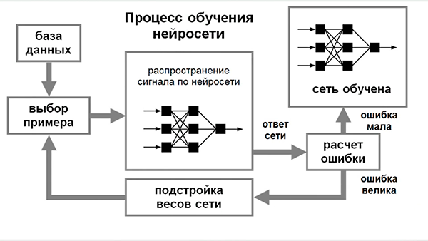 Цифровые технологии будущего: нейросети (команда Digital Immigrants, г. Брянск, видео для Семейного IT-марафона 2022) Цифровые технологии будущего: нейросети (команда Digital Immigrants, г. Брянск, видео для Семейного IT-марафона 2022)